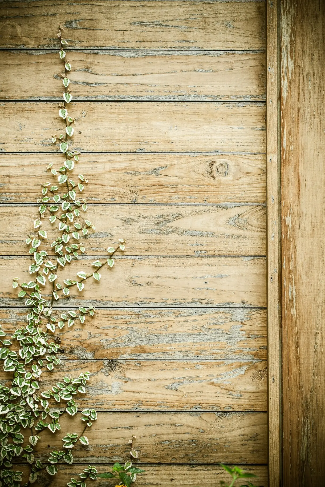 Пожалуйста, предоставьте исходное описание, которое нужно перефразировать.